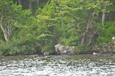 DSC_3722 (Large).JPG